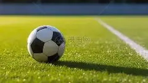 开宝体育 产品 135648 ycw