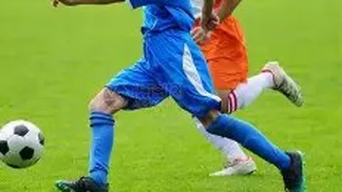 开宝体育 产品 140417 voi